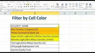 Filter Cells based on their Cell Color in Microsoft Excel