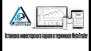 Установка и изменение пароля в терминале Metatrader