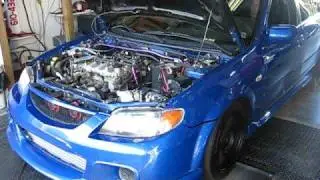 Mazdaspeed Protege: Dyno Pulls