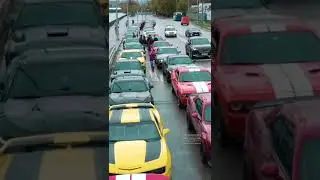 11 июня 2023 г.