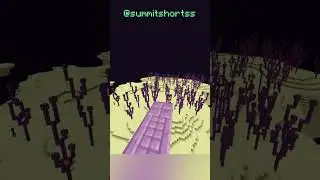 Minecraft, But YOU Control Teleportation…