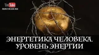 Энергетика человека. Уровни энергии | Вопрос-Ответ Анастасия Ян