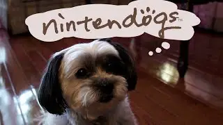 nintendogs tricks with my dog IRL