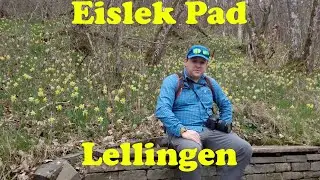 Eislek Pad Lellingen