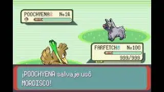 POKEMON EMERALD | FARFETCH'D | BARRERA | BARRIER