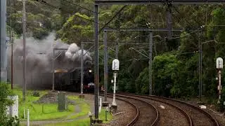 [4K] 5917 Kiama Picnic Train Blasts Through Wombarra