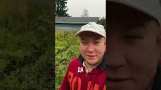 Решил рассказать вам про постройку дома. Интересно? Начинаем сериал?