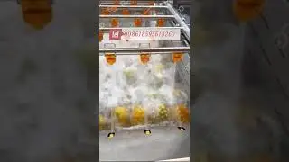 Sterilization Pineapple Washing Machine Suitable For A Variety Of Fruits