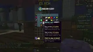 BEST HYPIXEL SKYBLOCK MONEY MAKING METHOD I BAZAAR FLIPPING Macro Mod 940mh December 2025