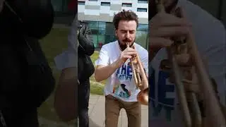 Артем Пивоваров «О, Панно» - ДикоBrass cover
