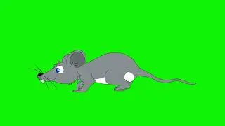 Seamless looping animation of 2D Rat walking green screen footage | 4K footages | GreenScreen Vfx