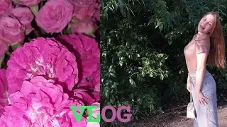 ПЕРВЫЙ VLOG ЗА ГОД ОТСУТСТВИЯ НА ЮТУБЕ🥰