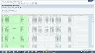 SAP Security Audit- For Internal Auditors