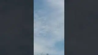 Первые гусиные стаи!!!