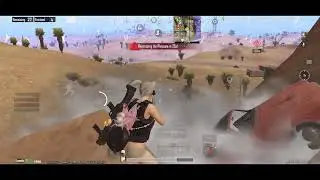 SOLO CHIKEN POSSIBLE?