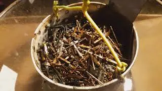Снятие серебряного  покрытия  электролизом | Removing the silver plating