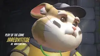Overwatch Quadra Knock Hammond (POTG)