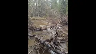 ПРОВЕРКА МОРДУШКИ . СНОВА ЩУКА