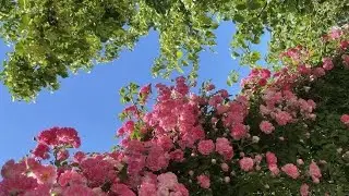 Мой первый день в другом городе♡ Летний влог