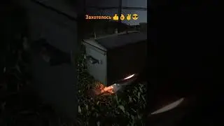 14 мая 2024 г.