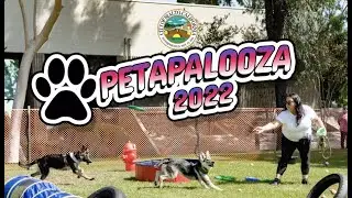 Petapalooza 2022 Promo