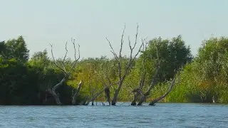 Что сегодня ловится в Астрахани по хищной рыбе Выезд на разведку по джигу Рыбалка 2021