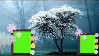 Wedding green screen Effect HD Video 2023 green screen frame