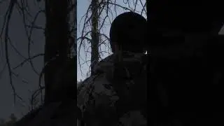 Amazing cow sounds in the elk woods #elk #hunting #huntinggame #hunter #nature