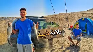 رحلة صيد إلى مصيد بلاية الذيبة شمال مدينة الداخلة 😍🐟🎣