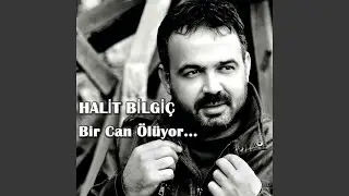 Öyle Sevmişim