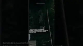 #penampakan