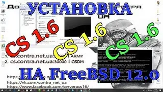 Установка CS 1,6 на FreeBSD 12.0