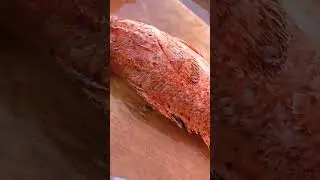 ١١ مارس ٢٠٢٣
