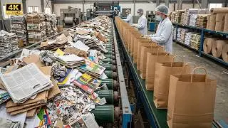 Inside the Massive Factory Converting Waste Paper into Shopping Bags
