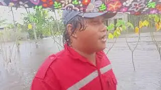 kampung,celep