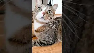 🥺 Забыл меня за неделю 