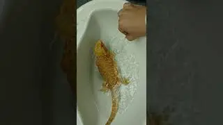 Elphie's Jacuzzi :)