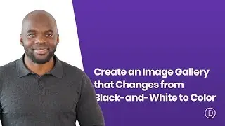 How to Create an Image Gallery that Changes from Black and White to Color with Divi’s Gallery Module