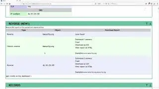3. Gathering Comprehensive DNS Information