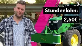 Ein Tag Landwirt: Leben mit Bullen, Traktoren und Geldnot?