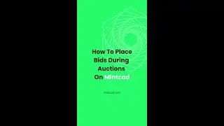 How To Place a Bid On Mintcad Auctions