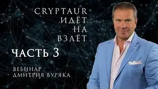 Вебинар Дмитрия Буряка   часть 3