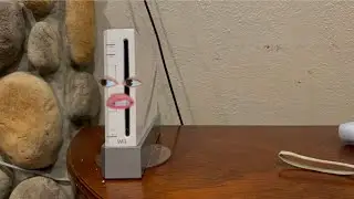 Life of A Wii Console