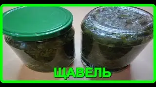 проверенный годами рецепт__ЩАВЕЛЬ НА ЗИМУ__без соли