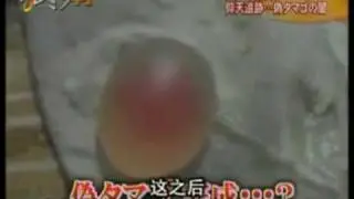 Investigation of fake eggs in China. by FujiTV