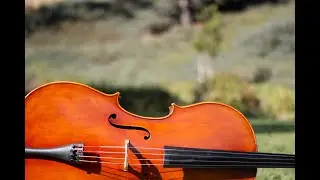 BCCM Orchestra Literature Final Recording Project - Angela Marvin, Cello