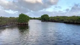 Sea side nature view