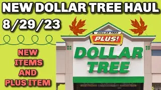NEW DOLLAR TREE HAUL 8/29/23