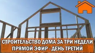 Строительство дома за 3 недели, прямой эфир. День третий.