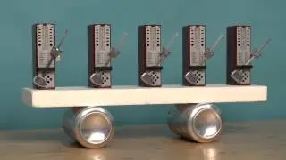 spontaneous synchronization